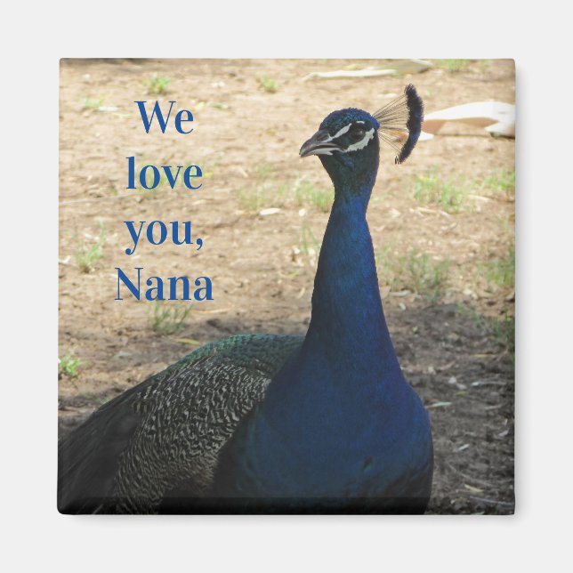 Aimant Love You Nana Blue Bird Feathers Photo Peacock (Devant)