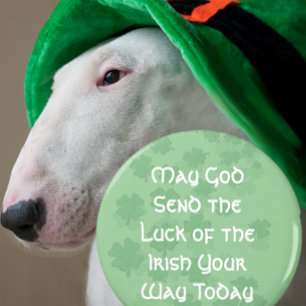 Aimant Luck of the Irish