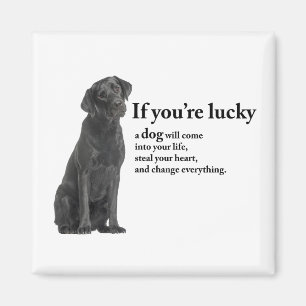 Aimant Lucky Black Lab