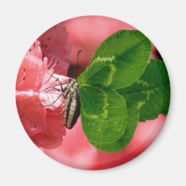 Aimant Lucky Butterfly (Devant)