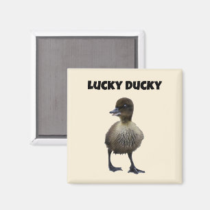 Aimant Lucky Duck Funny Cute Duckling Oiseau Photo Art
