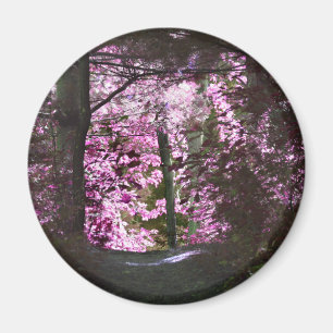 Aimant Lumière sur l'aimant de nature de chemin