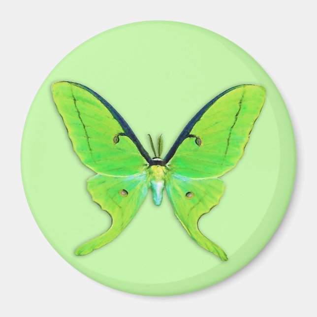 Aimant Luna moth sur un arrière - plan vert pâle (Devant)