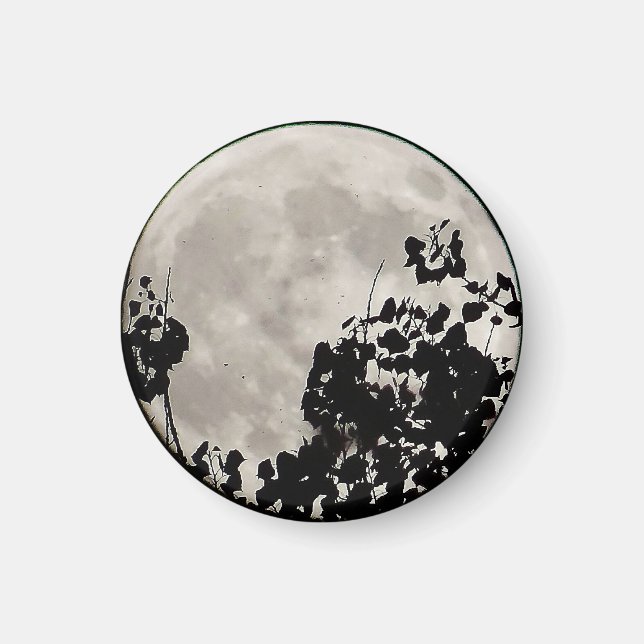 Aimant Lune derrière feuilles sombres (Devant)