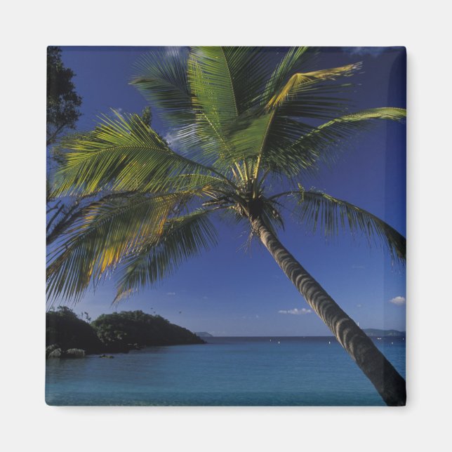 Aimant L'une des meilleures plages du monde ; Trunk Bay s (Devant)