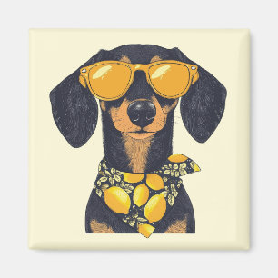 Aimant Lunettes de soleil pour chien saucisse cool citron