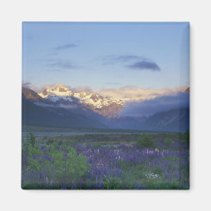 Aimant Lupin et la division principale, Arthur's Pass, Su
