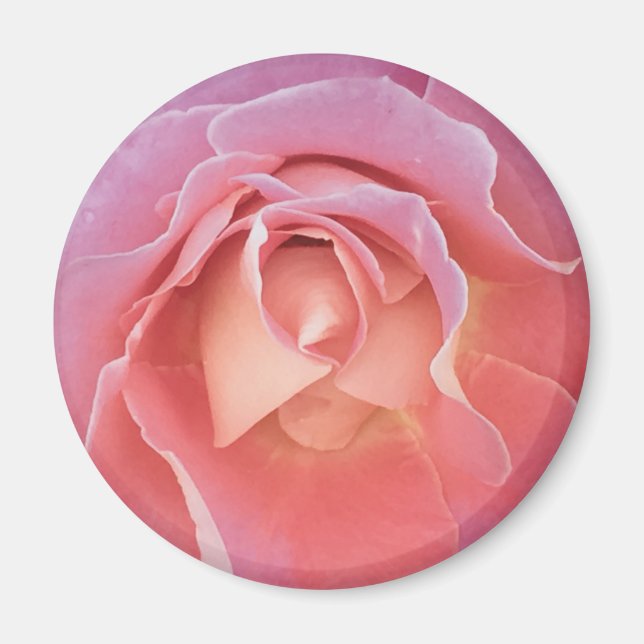 Aimant Luscious Pink Rose (Devant)