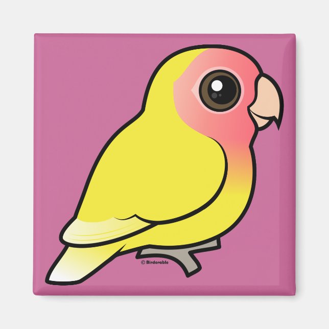 Aimant Lutino Peach face Lovebird (Devant)