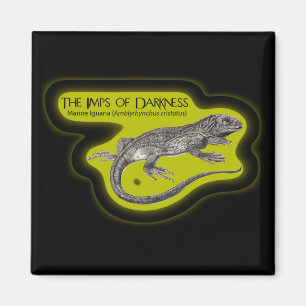 Aimant Lutins d'obscurité (sur l'obscurité)