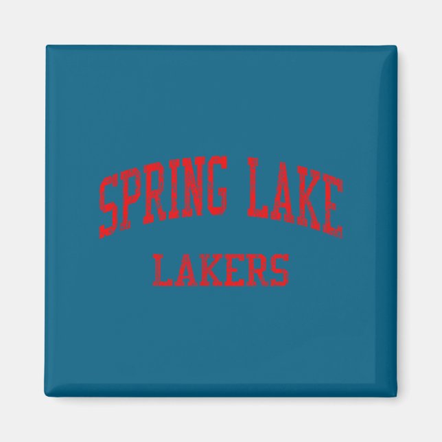 Aimant Lycée Spring Lake High School Spring Lake Mi vinta (Devant)