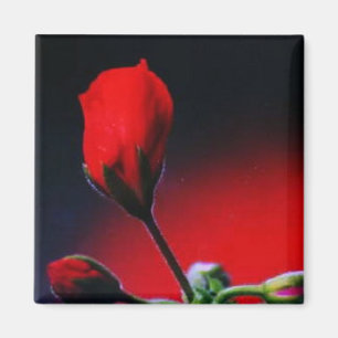 Aimant Ma Fleur