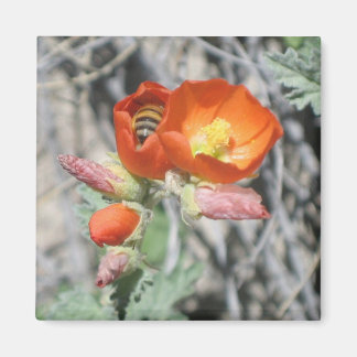 Aimant Ma petite abeille au miel