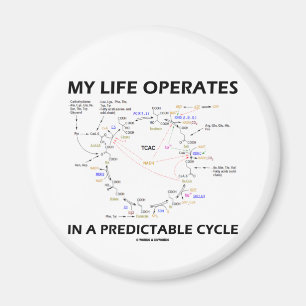 Aimant Ma vie fonctionne dans un cycle prévisible (Krebs