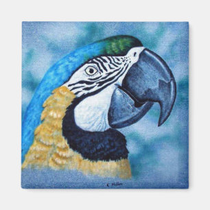 Aimant Macaw