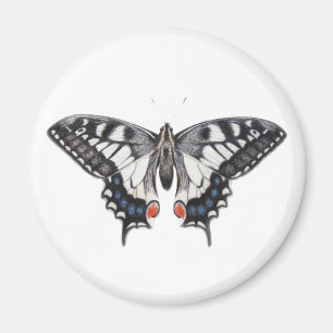 Aimant Machaon 2012