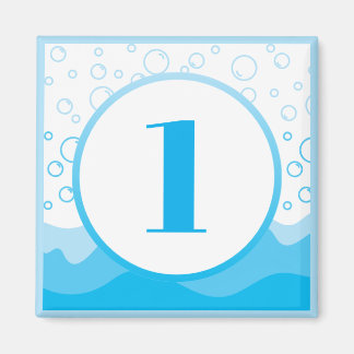 Aimant machine à laver