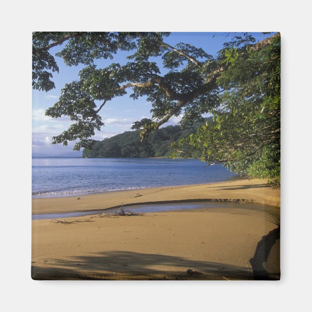 Aimant Madagascar, Réserve spéciale de Nosy Mangabe, sur (Devant)