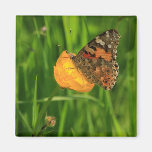 Aimant Madame peinte Butterfly
