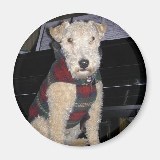 Aimant Maestro Groupie