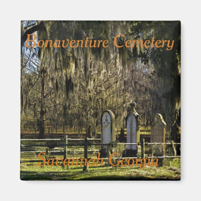 Aimant Magicien Savannah Bonaventure (Devant)