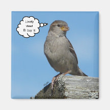 Magique de vue agréable