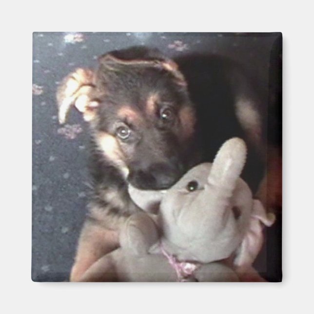 Aimant Magnat allemand Shephard Puppy (Devant)