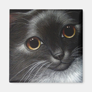 Aimant Magnat CAT TUXEDO