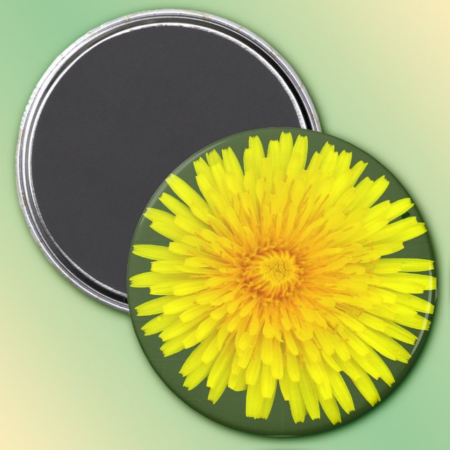 Aimant Magnat Dandelion (Créateur téléchargé)