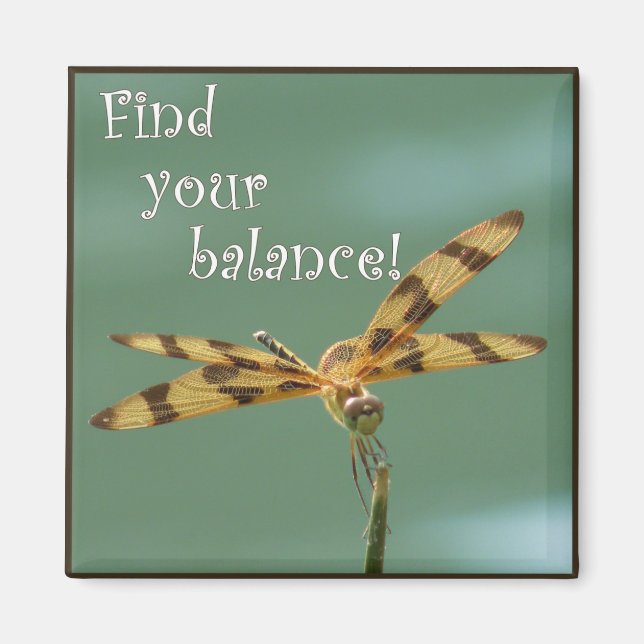 Aimant Magnat de balance des libellules (Devant)