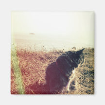 Magnat de chat vintage