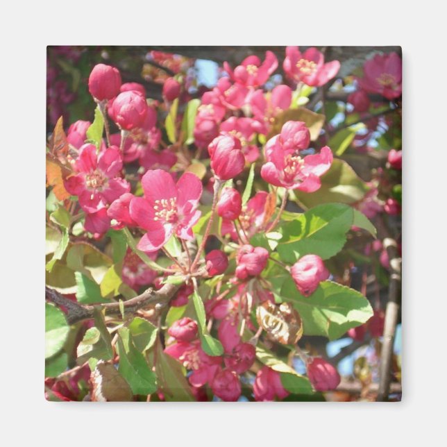 Aimant Magnat de crabe des fleurs1 (Devant)
