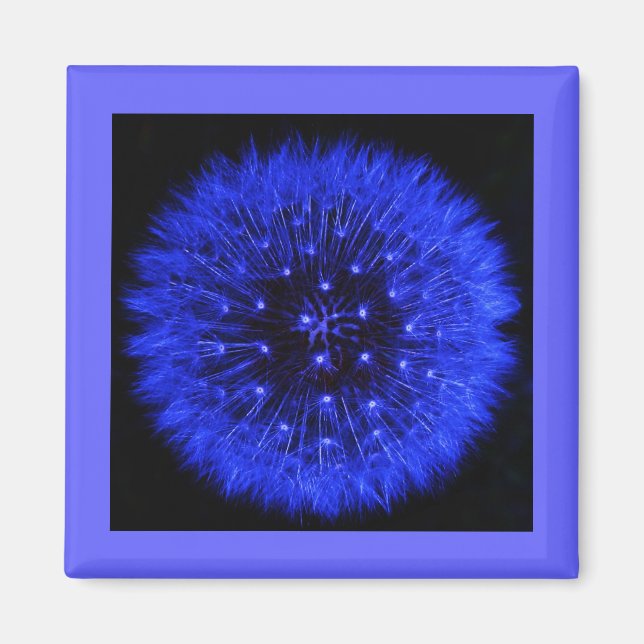 Aimant Magnat de design de pouf Dandelion bleu (Devant)