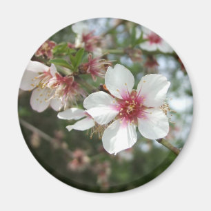 Aimant Magnat de fleurs