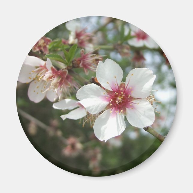 Aimant Magnat de fleurs (Devant)