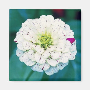 Aimant Magnat de fleurs de Zinnia