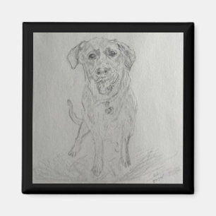 Aimant Magnat de laboratoire