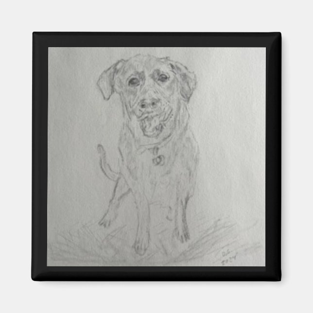 Aimant Magnat de laboratoire (Devant)