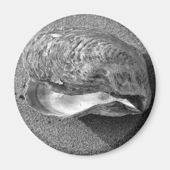 Aimant Magnat de plage de sable de coquillage de moules (Devant)