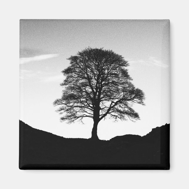 Aimant Magnat de poche Sycamore (Devant)