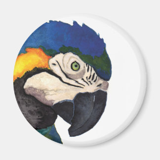 Aimant Magnat de portrait bleu Macaw