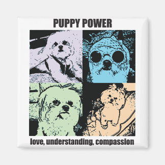 Aimant Magnat de puissance Bella Puppy