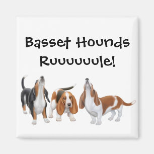 Aimant Magnat de règle Basset Hounds