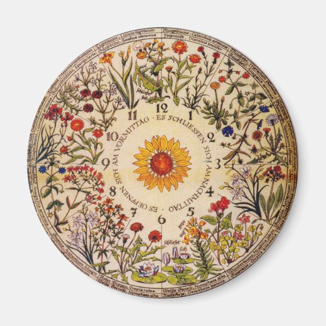 Aimant Magnat d'horloge de fleurs Blumenuhr (Devant)