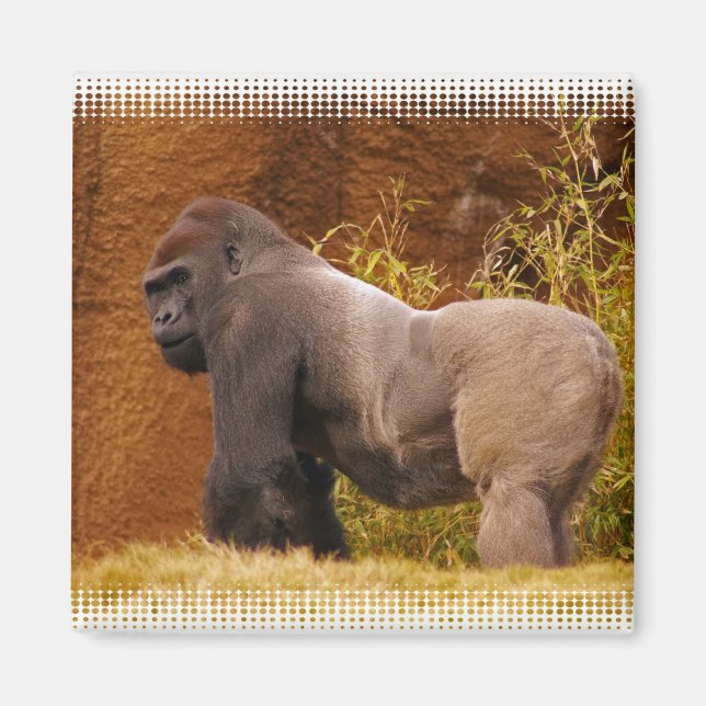 Aimant Magnat photo Silverback Gorilla (Devant)
