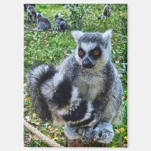 Magnéet avec maki taré - Imprimante animale unique