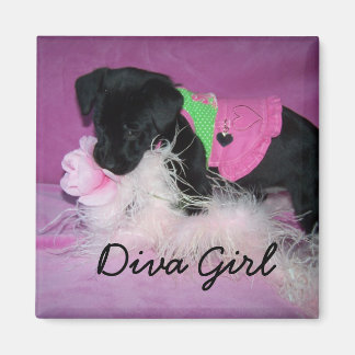 Aimant Magnet, Diva Girl