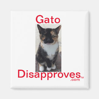 Aimant Magnet, Gato désapprouve