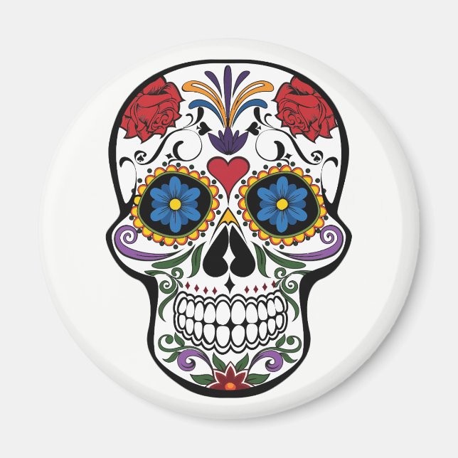 Aimant Magnet. Squelette. (Devant)