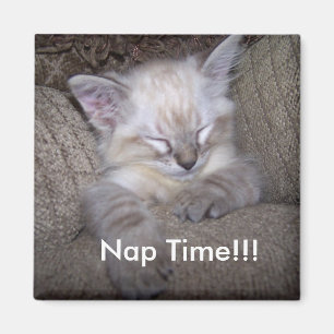 Aimant magnétique du casier ...Temps de sieste